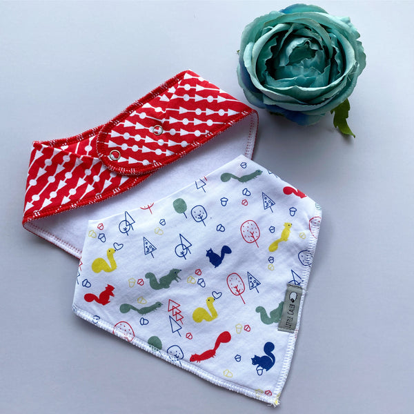 Dinosaur & Poppies Bib Set