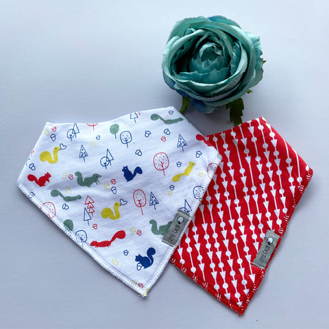 Dinosaur & Poppies Bib Set